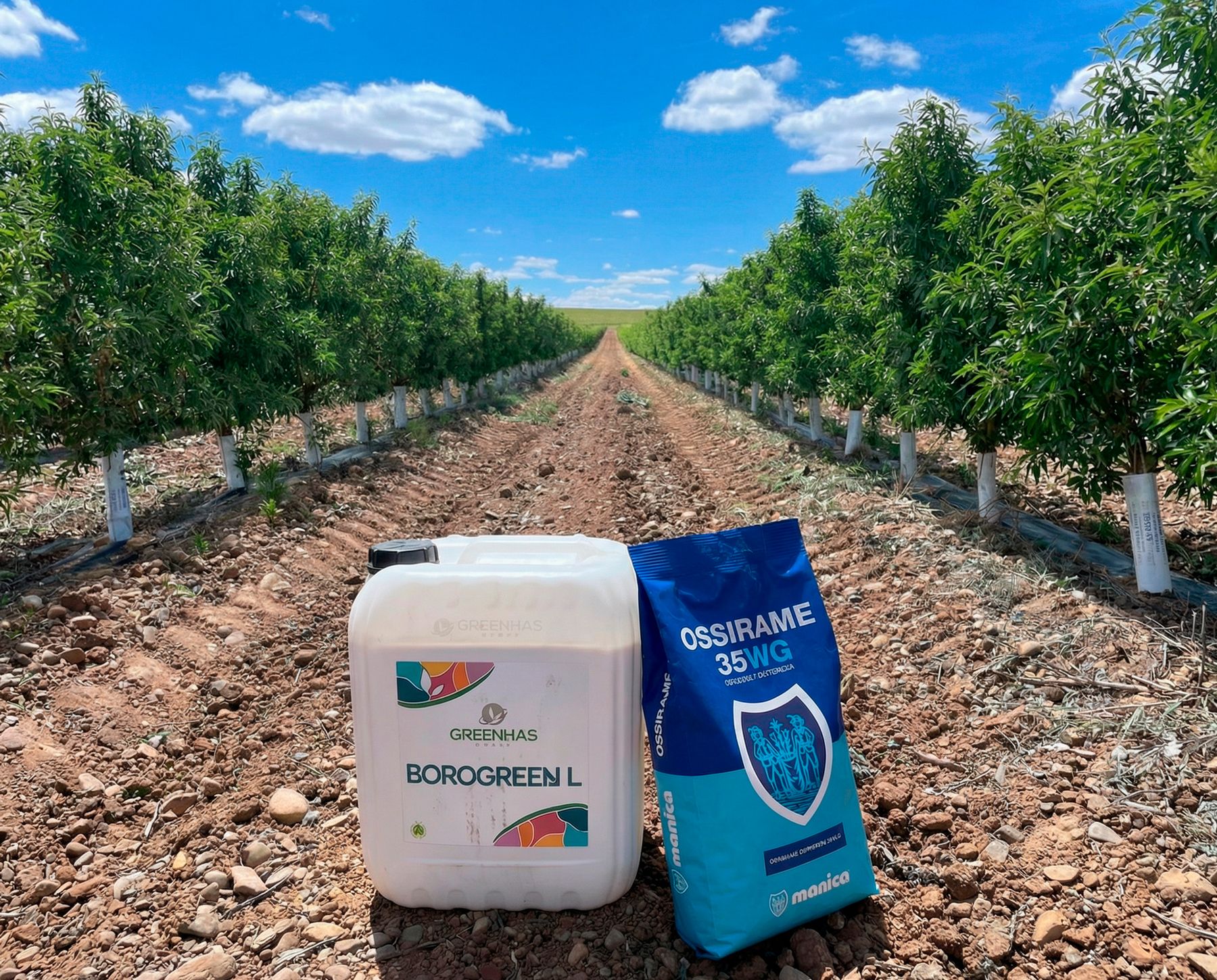 PACK POST COSECHA ALMENDRO (elige para 2 Ha o multiplica para más)