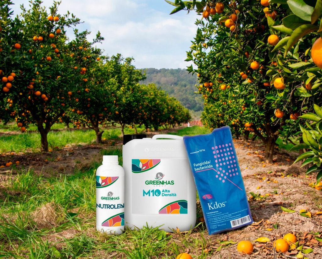 PACK POST COSECHA CÍTRICOS (elige para 2 Ha o multiplica para más)