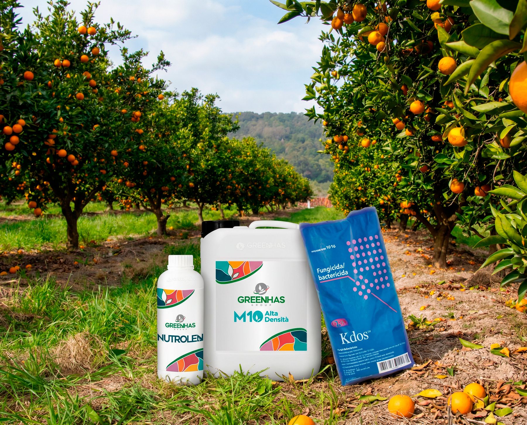 PACK POST COSECHA CÍTRICOS (elige para 2 Ha o multiplica para más)